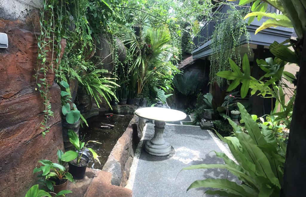 Pancer House Guest house *